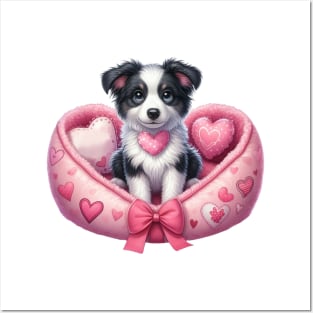 Valentine Border Collie Dog in Bed Posters and Art